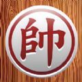 bet bry online casino截图