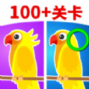 pix bet casino截图